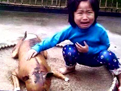 Câu chuyện rơi nước mắt sau bức ảnh "cô bé khóc bên chú chó bị giết"