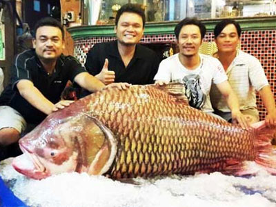 Thủy quái Mekong trong nồi lẩu trăm triệu đại gia Sài Gòn