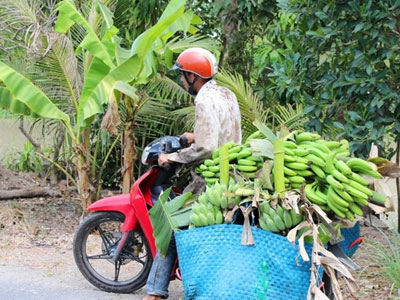 Ảnh bìa bài viết 288938