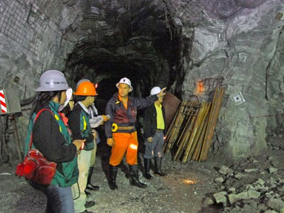 Chịu thua 2 công ty vàng nợ thuế 354 tỉ đồng?