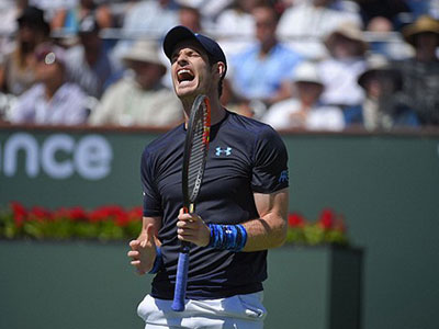 Andy Murray: Hoãn tuần trăng mật vì Miami Masters