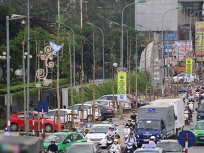 Hà Nội trồng cây trong sách đỏ trên phố