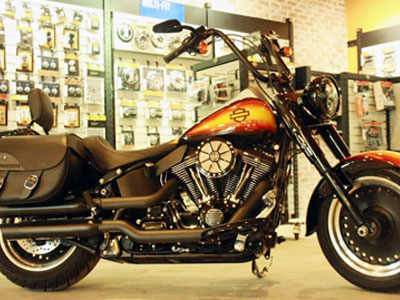 Xế độ Harley-Davidson Fat Boy độc nhất Việt Nam