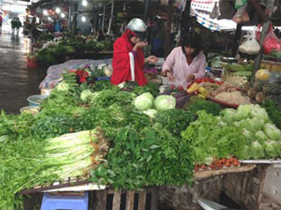 Giật mình mớ rau muống đắt ngang 3 lạng thịt