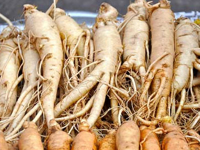 Dùng nhân sâm, tam thất quá liều có bị liệt dương?