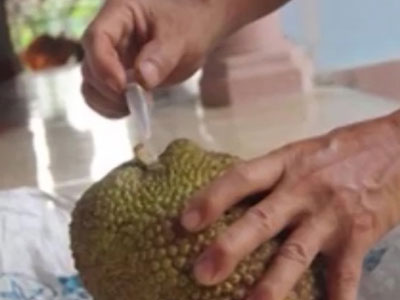 Clip: Kinh hãi hóa chất làm chín trái cây siêu tốc