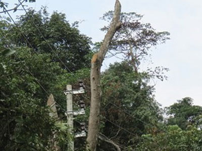 14 triệu đô “dễ” thành phế liệu: Nhiều sai phạm cần được làm rõ