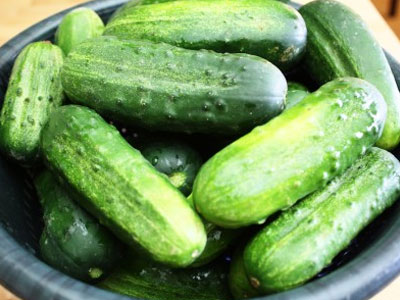 Giật mình độc tố trong dưa chuột