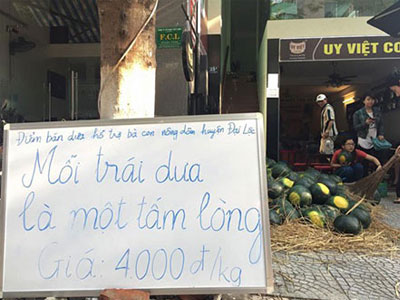 "Mỗi trái dưa là một tấm lòng" - Dân mạng chở dưa hấu đi bán khắp nơi giúp nông dân Quảng Nam