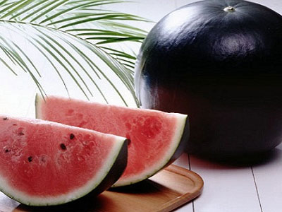 Phát sốt lùng mua hạt giống dưa hấu đen nghìn đô