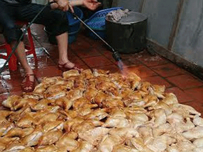 Tác giả bức ảnh “gà mau về với ông bà” lên tiếng
