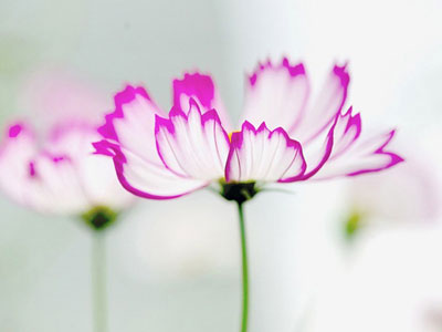 Thứ ba của bạn (7/4)