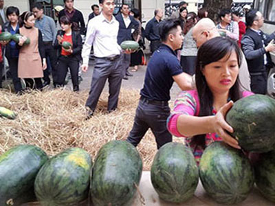 Bộ Công Thương mua 14 tấn dưa hấu giúp nông dân