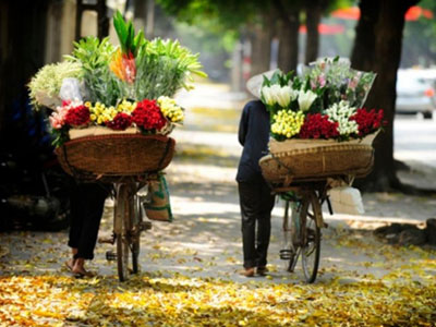 Bắc Bộ có nắng ấm ngày chủ nhật
