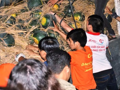 Dân Sài Gòn mua dưa hấu hỗ trợ nhà vườn Quảng Nam