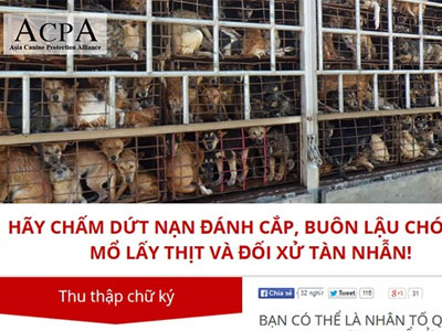 Hàng loạt sao Việt xúc động mạnh vì cảnh giết mổ chó trong clip "Về đi Vàng ơi"