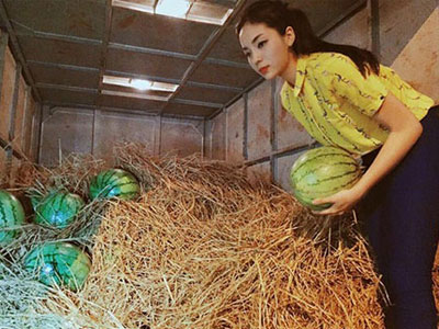 Hoa hậu Kỳ Duyên bị tố "làm màu" trong việc bán dưa hấu