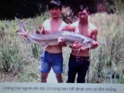 Sự thật về việc bắt được cá tầm "khủng" ở Lâm Đồng