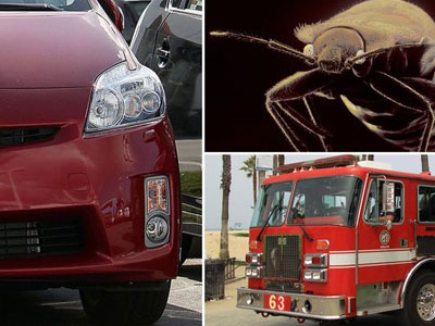 Suýt chết cháy trong xe vì đổ rượu giết… bọ rệp