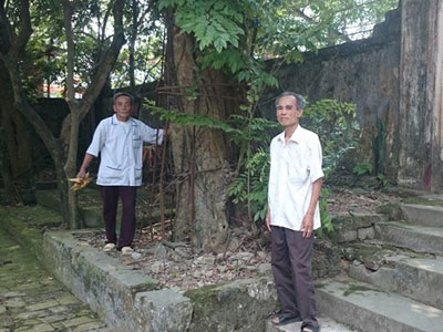 Gỗ sưa dân trồng, chính quyền đòi bán