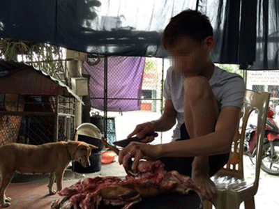 “Hành quyết” mèo trong lò mổ ở Thái Bình: Cơ quan chức năng nói gì?