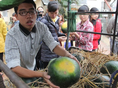 Nghịch lý rau quả Việt: Nam chất vỉa hè, Bắc không đủ bán