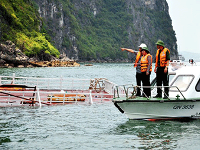 Quảng Ninh lên tiếng vụ tàu chở 52 người bị chìm
