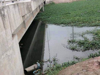 Thanh niên chết dưới đầm nước, trên người có vết bầm