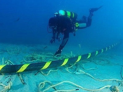 Cá mập có cắn đứt được cáp quang hay không?