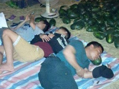 Vụ "ăn" 2.000 đồng/kg dưa: Người mua 10 tấn hắc mỹ nhân nói gì?