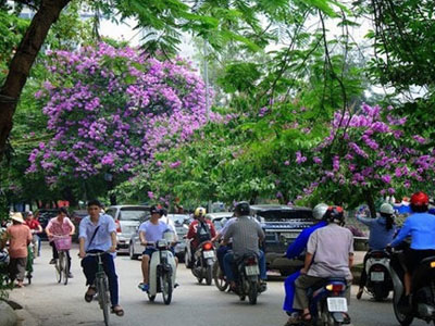 Ảnh bìa bài viết 297367