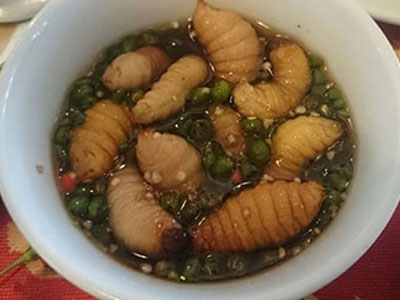 Cận cảnh "sung dược phòng the" mềm nhũn, ngoe nguẩy trên bàn nhậu
