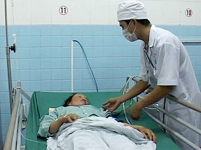 Hai người bị rắn lục đuôi đỏ cắn khi đang gặt lúa