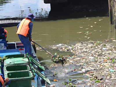 Cá lại chết dày đặc kênh Nhiêu Lộc - Thị Nghè
