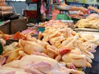 Chỉ cần 6 tiếng, thịt gà Thái sẽ tràn ngập chợ Việt!