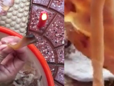 Xôn xao clip mực khô xé không đứt, ngâm nước giãn nở gấp nhiều lần