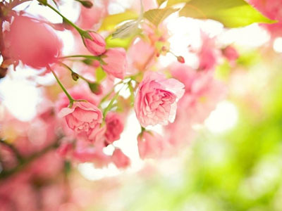 Thứ sáu của bạn (22/05)