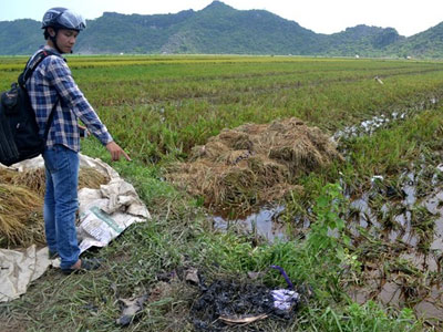 Sét đánh chết 4 nông dân trên đồng