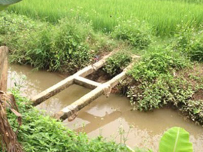 Triệt sản 10 năm, bất ngờ cưỡng bức tình dục "cấp trên"