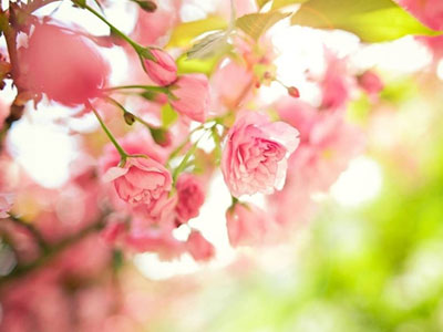 Thứ ba của bạn (26/05)