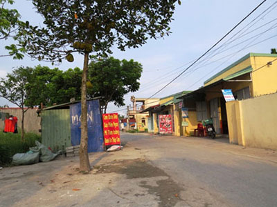 Ảnh bìa bài viết 300177