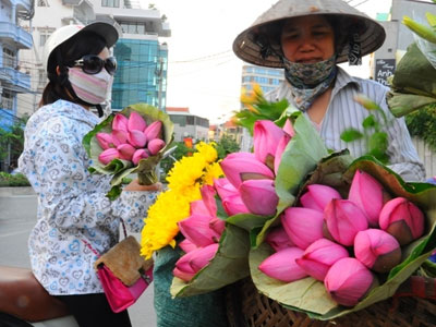 Hôm nay khí mát tràn về Bắc Bộ