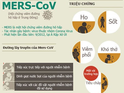 Infographic: Những sự thật về dịch MERS-CoV chết người