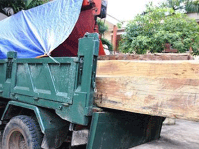 Hạt trưởng Kiểm lâm "dính" gỗ lậu