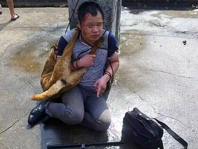 Ảnh bìa bài viết 301340
