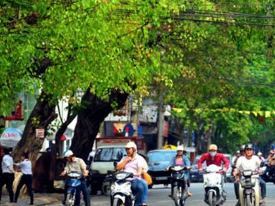 Bắc bộ có nắng nhẹ, trời dịu mát ngày đầu tuần