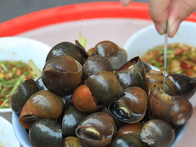 Có nên ăn ốc khi mang thai?
