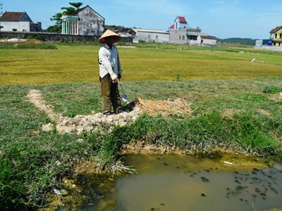 Đi bắt cua, bé trai 11 tuổi bị rắn cắn tử vong