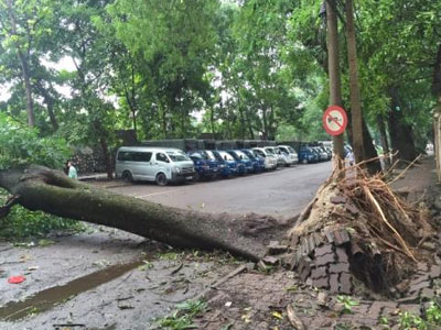 Dông, lốc lại đe dọa chiều tối và đêm nay