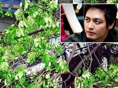 Xe ôtô của MC Phan Anh bị cây đè trong trận gió lốc chiều qua